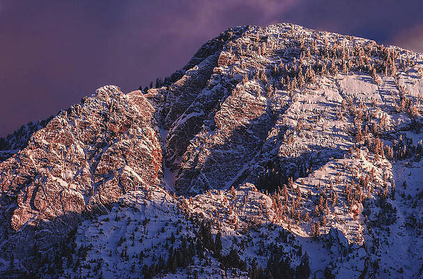 Wall Art - Photograph - Mount Olympus - Purple by Abbie Matthews