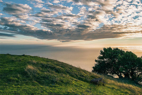 Mount Tamalpais Sunset by Gary Geddes Mount Tamalpais Sunset by Gary Geddes