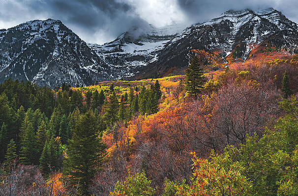 Wall Art - Photograph - Mount Timpanogos Autumn by Abbie Matthews
