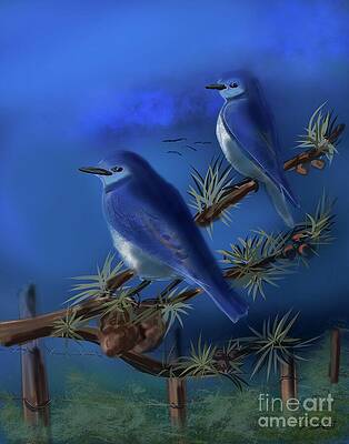 Mountain Bluebirds by Doug Gist Mountain Bluebirds by Doug Gist