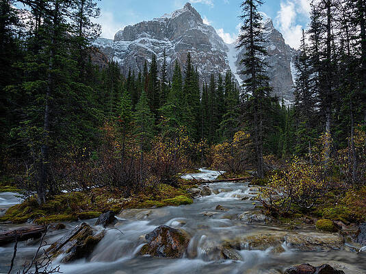 Mountain Stream by Matt Dobson Mountain Stream by Matt Dobson