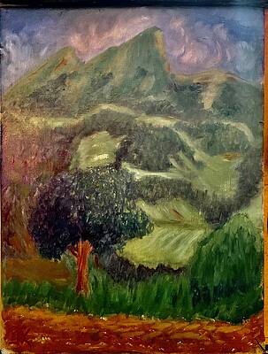 Mountain Vineyards by J Kerns