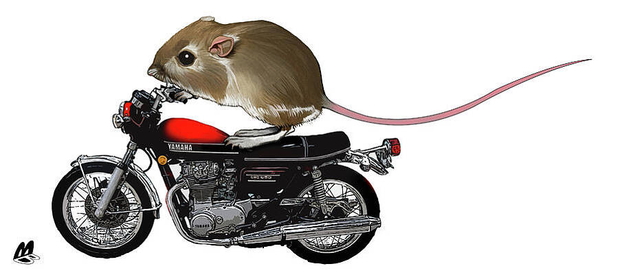 Mouse on a motorcycle by Mark Baker Mouse on a motorcycle by Mark Baker