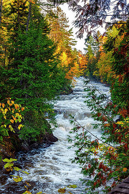 Moxie Stream by Robert Libby Moxie Stream by Robert Libby