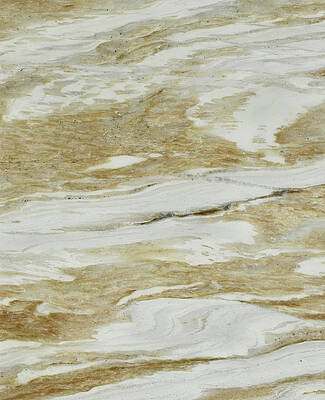 MR1006D by Art in a Rock MR1006D by Art in a Rock