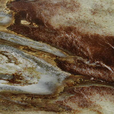 MR1024D by Art in a Rock MR1024D by Art in a Rock