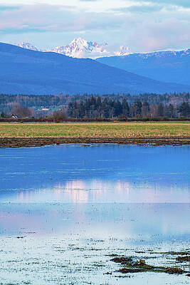 Wall Art - Digital Art - Mt Baker over Skagit Valley by Michael Lee