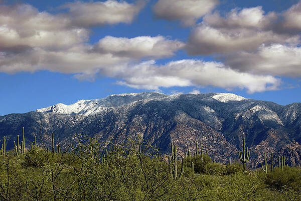Mt. Lemmon in Winter by Jason Judd Mt. Lemmon in Winter by Jason Judd