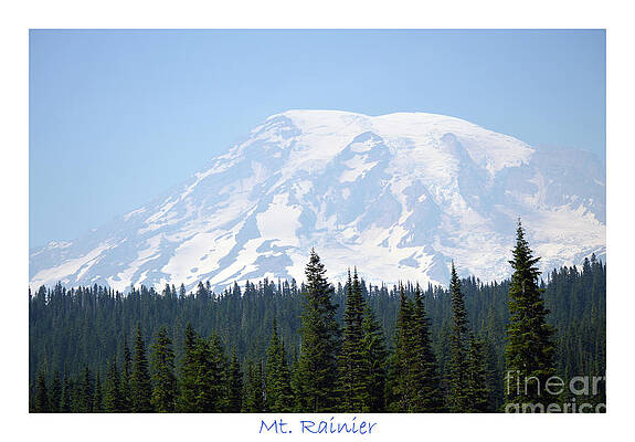 Mt. Rainier and Evergreens by Carol Eliassen Mt. Rainier and Evergreens by Carol Eliassen