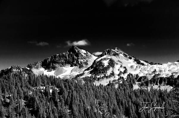 Wall Art - Photograph - Mt. Rainier by Jim Signorelli