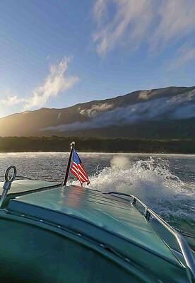 mt9201tt by Steven Lapkin mt9201tt by Steven Lapkin