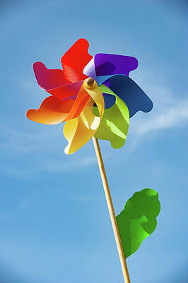 Multi-coloured Windmill v by Helen Northcott Multi-coloured Windmill v by Helen Northcott