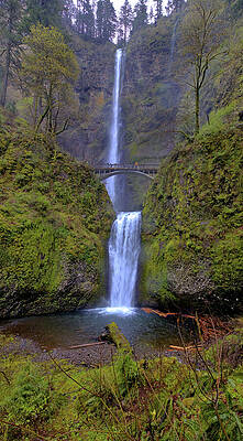 Wall Art - Photograph - Multnomah Falls by Bob Falcone