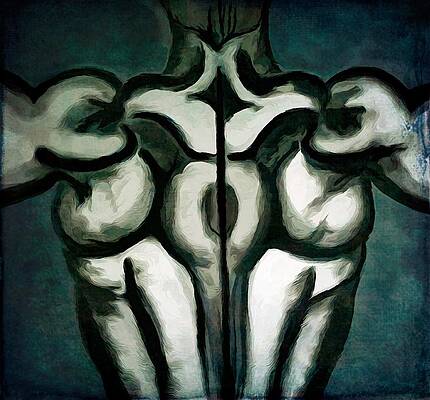 Abstract Human Body Drawings Fine Art America
