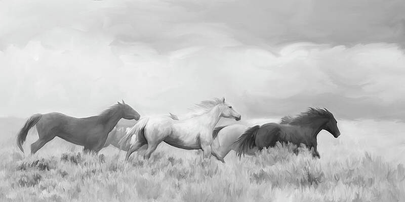 Mustang Herd No.2 BW by Ramona Murdock Mustang Herd No.2 BW by Ramona Murdock