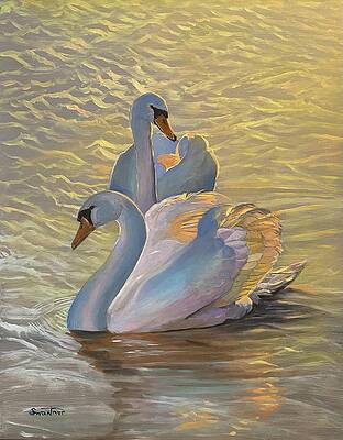 Mute Swans  by David Swantner