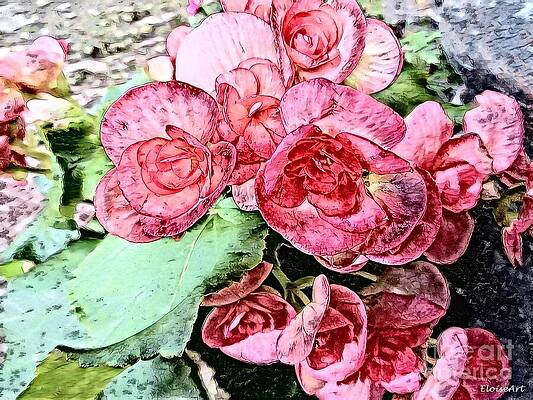 My Begonias by Eloise Schneider Mote My Begonias by Eloise Schneider Mote
