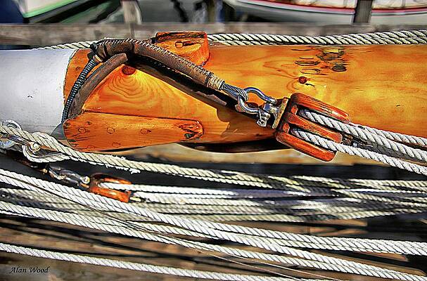 My Favorite Mast by Alan Wood