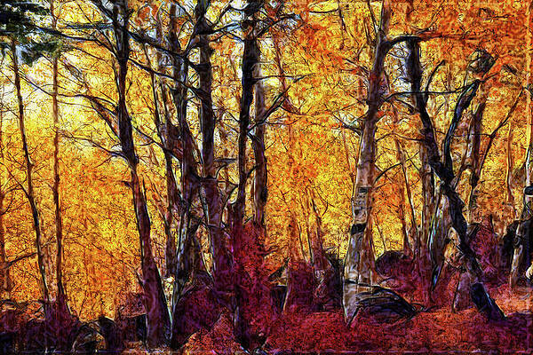 Wall Art - Digital Art - My Secret Forest by Rick Perkins