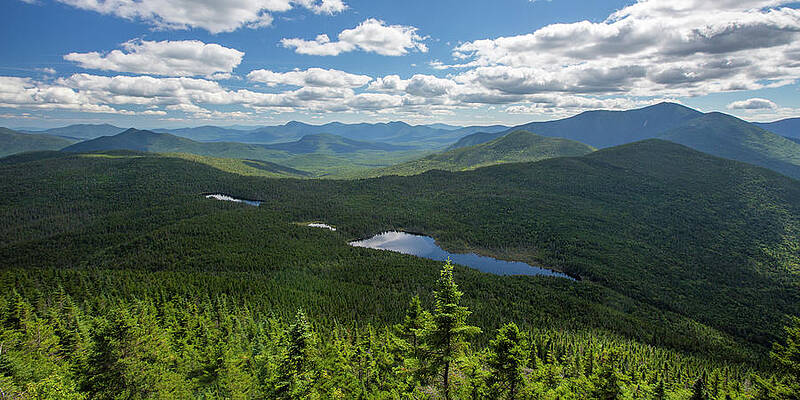 Nancy Pond Summer Views by Chris Whiton Nancy Pond Summer Views by Chris Whiton