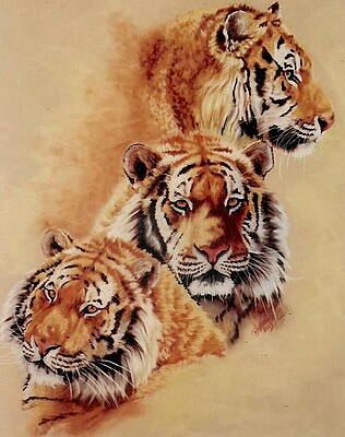 Wall Art - Pastel - Nanook in Different Views by Barbara Keith