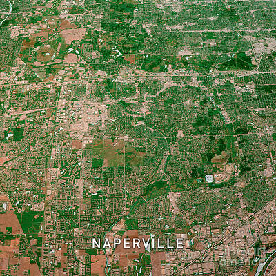 Wall Art - Digital Art - Naperville Illinois 3D Render Map Color Top View Oct 2019 by Frank Ramspott