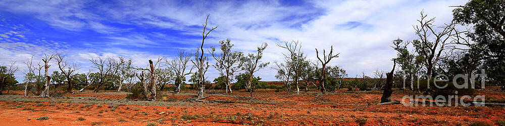 Natural Australian Desert Panorama by Kaye Menner by Kaye Menner Natural Australian Desert Panorama by Kaye Menner by Kaye Menner