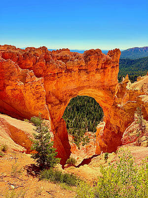 Natural Bridge by Donald Chen