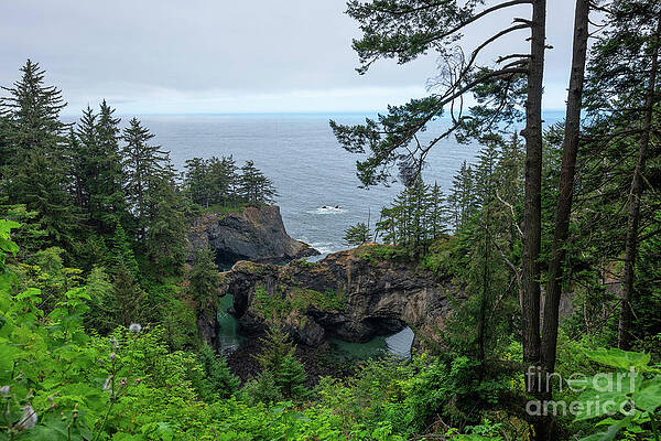 Natural Bridges, OR by Michael Ver Sprill Natural Bridges, OR by Michael Ver Sprill