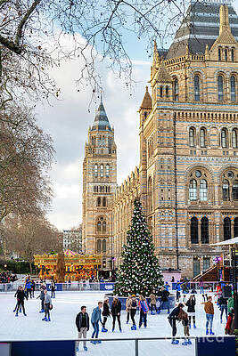 Wall Art - Photograph - Natural History Museum Christmas in London by Tim Gainey