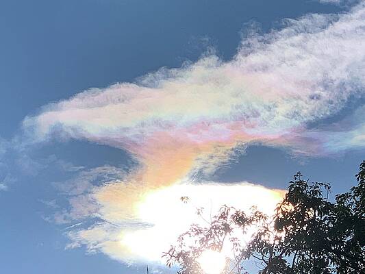  Photograph - Natures Color in a Colorado's Cloud by Suzy Lang