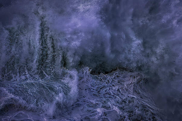 Nature's sisters by Bill Posner Nature's sisters by Bill Posner