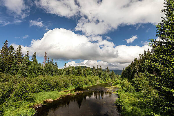Wall Art - Photograph - Nesowadnehunk Stream in Baxter by Craig A Walker