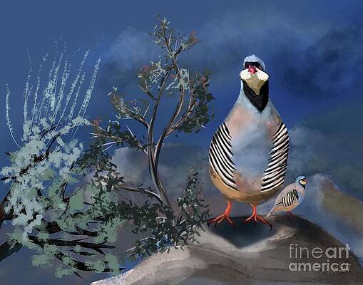 Nevada Chuckar by Doug Gist Nevada Chuckar by Doug Gist