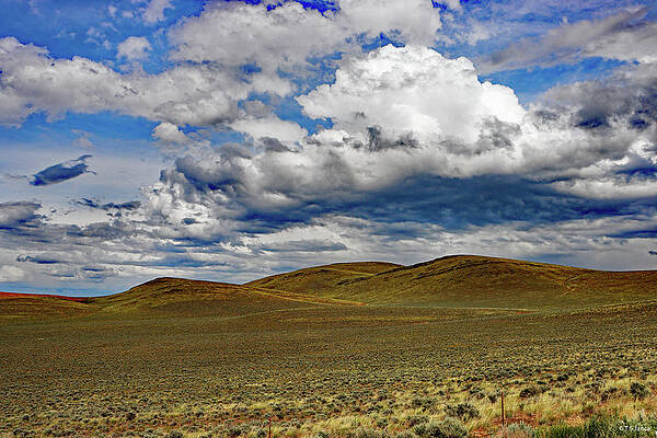 Wall Art - Digital Art - Nevada's Vastness by Tom Janca