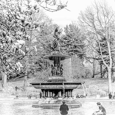 Bethesda Fountain in Central Park Photograph by Randy Aveille