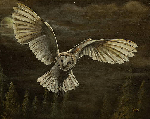 Night Owl, Barn Owl by Vivian Casey-Kleinfelter Night Owl, Barn Owl by Vivian Casey-Kleinfelter