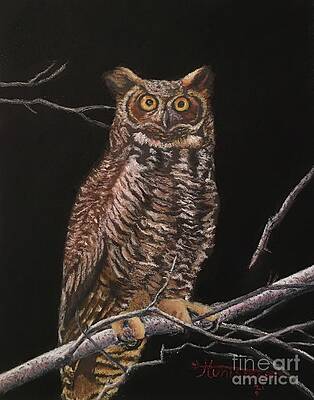 Night owl by John Huntsman Night owl by John Huntsman