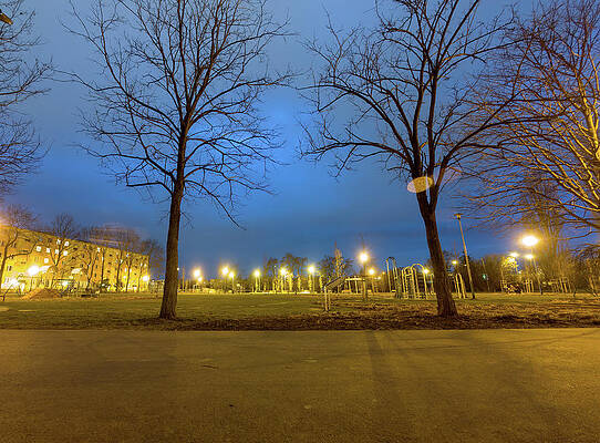 Wall Art - Pyrography - Night twilight shot of couple of Deciduous trees without leaves in winters by street against park playground in Poland, Europe. Leafless bare trees during dark night by Arpan Bhatia