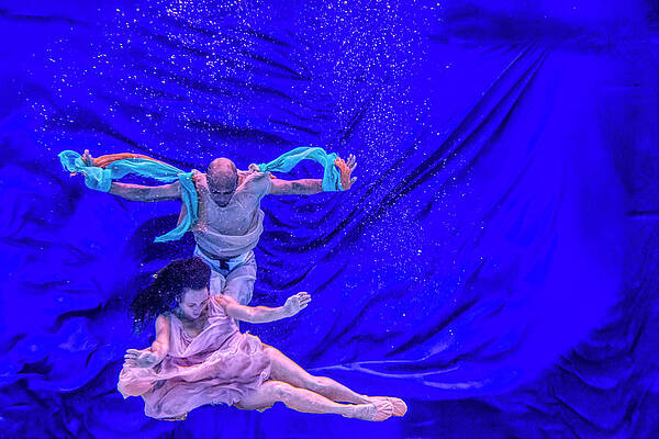 Nina and General dancing underwater in front of blue background 9 by Dan Friend Nina and General dancing underwater in front of blue background 9 by Dan Friend