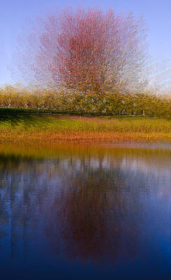 Wall Art - Photograph - 'No, it's supposed to look that way'  by Jim Signorelli