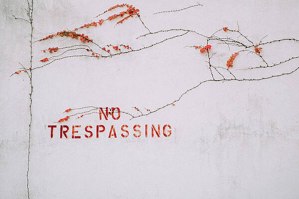 No Trespassing, Letchworth Village, Abandoned Mental Institution by Eugene Nikiforov No Trespassing, Letchworth Village, Abandoned Mental Institution by Eugene Nikiforov