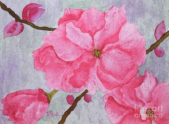 No.4 Cherry Blossoms by Barrie Stark No.4 Cherry Blossoms by Barrie Stark