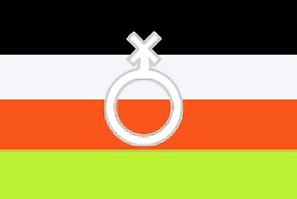 Wall Art - Digital Art - Non-Binary Pride Flag older version by Robert Banach