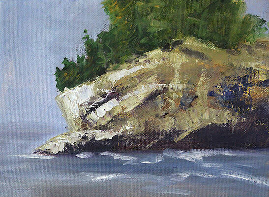 Northwest Island by Nancy Merkle Northwest Island by Nancy Merkle