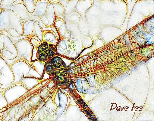 Not A Dragon, Not A Fly by Dave Lee Not A Dragon, Not A Fly by Dave Lee