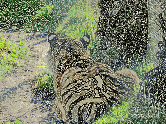 Not Talking to You by Mary Mikawoz Not Talking to You by Mary Mikawoz