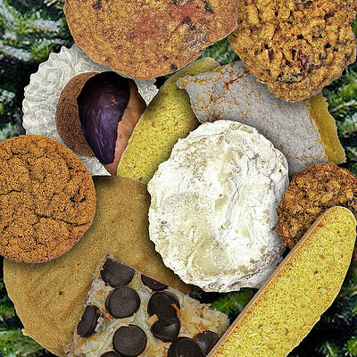 Nothing But Cookies by Jeffrey Clare Nothing But Cookies by Jeffrey Clare
