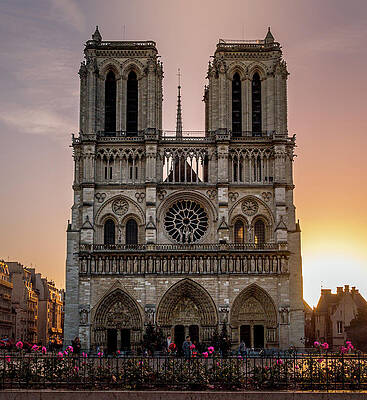 Notre Dame at Sunrise by Darrell DeRosia Notre Dame at Sunrise by Darrell DeRosia