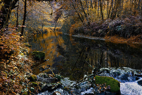 November Morning by Bill Posner November Morning by Bill Posner